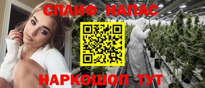 сатива Коммунар