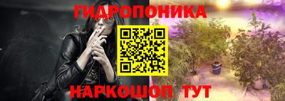 сатива Коммунар