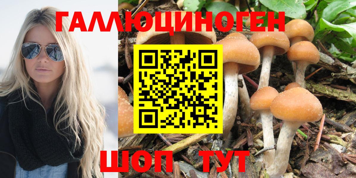 Псилоцибиновые грибы мицелий  Вход с VPN  Псилоцибиновые грибы Psilocybe  купить  цена  Кисловодск 